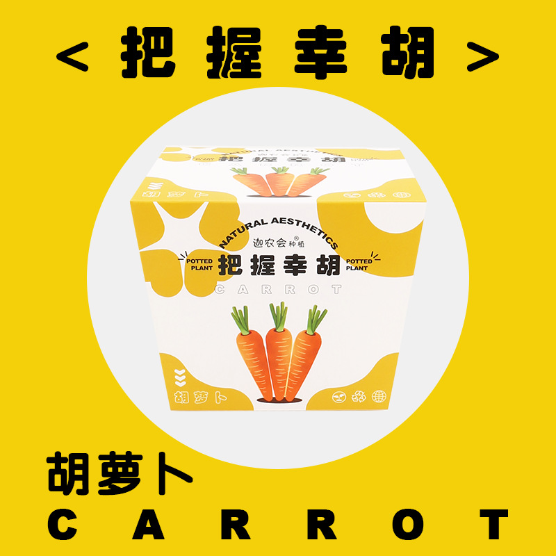 Xinghu 파악 (당근)