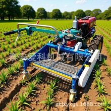 �ַ�܇�B�����������ի@�C��t��C70/80cm�������������R���C