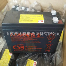CSB铅酸蓄电池HR1224WF2F1阀控式免维护12V24W台湾希世比 UPS电源