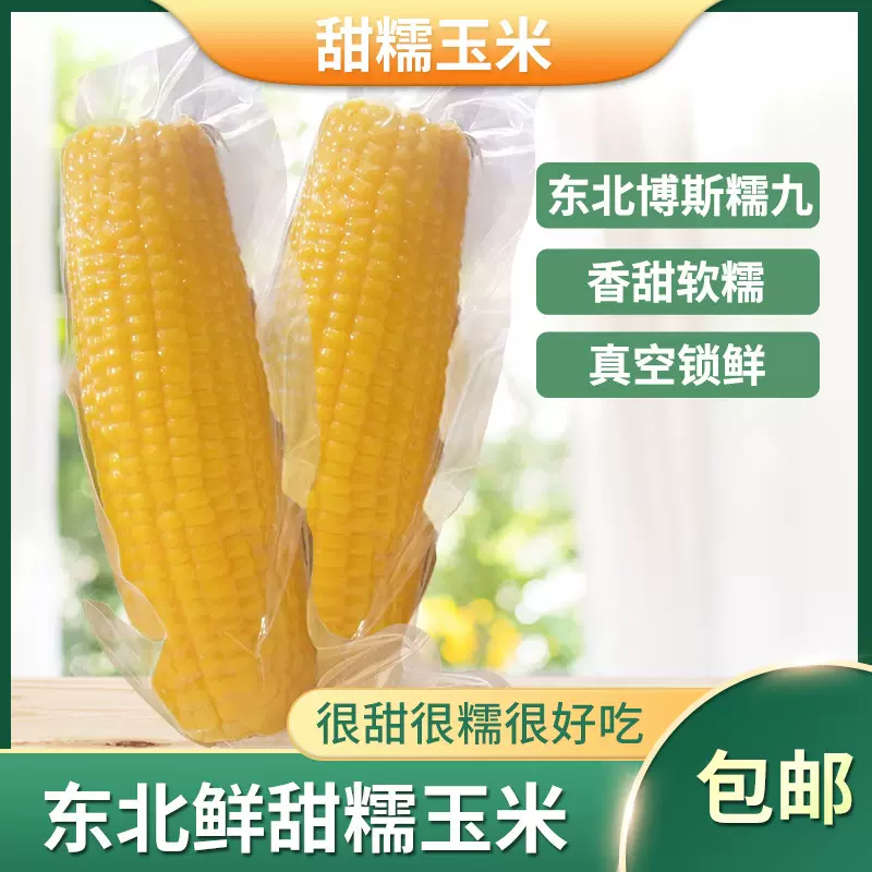 2025年东北黄糯玉米每箱10穗装玉米棒黄糯苞米厂家直发粗粮