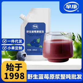 早康蓝莓原浆500ml家庭装蓝莓汁饮品批发原料代发源头工厂