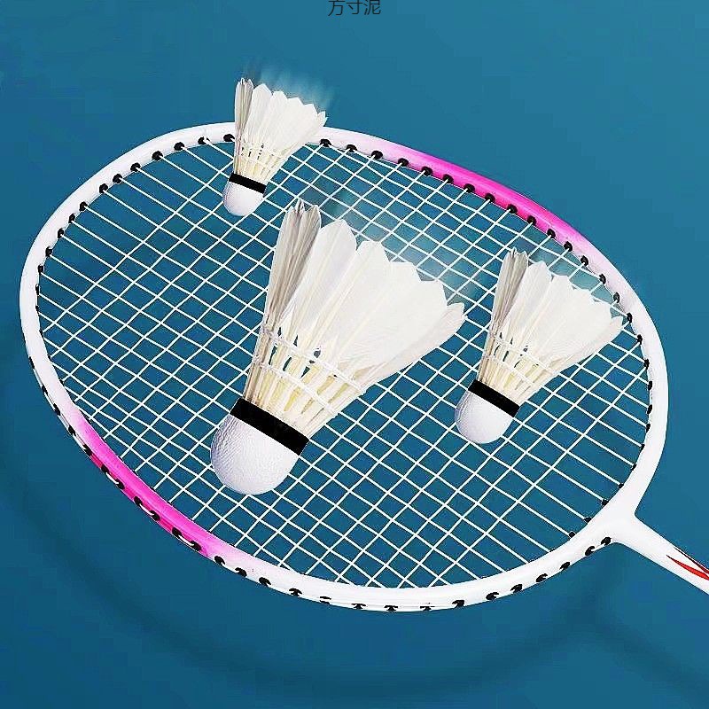 배드민턴 3 | 6 | 12 썩은 거위 깃털 야외 대회 학생 바람막이 훈련 공 공장에 저항하는 유일한 팩 저항하는 왕