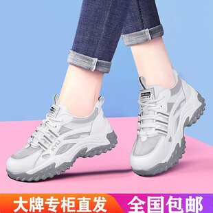 ��Ƥ�ϵ�ЬŮ2026�ļ��¿�����W��͸����ȶܺ�Ь���\�����e�WЬ