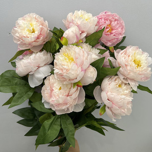 �Wʽ��֧3�^��șĵ�����滨�Ҿӻ�c�bzӰ��ˇ�ٻ��[�O�廨