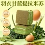 无糖羽衣早餐米苏面包