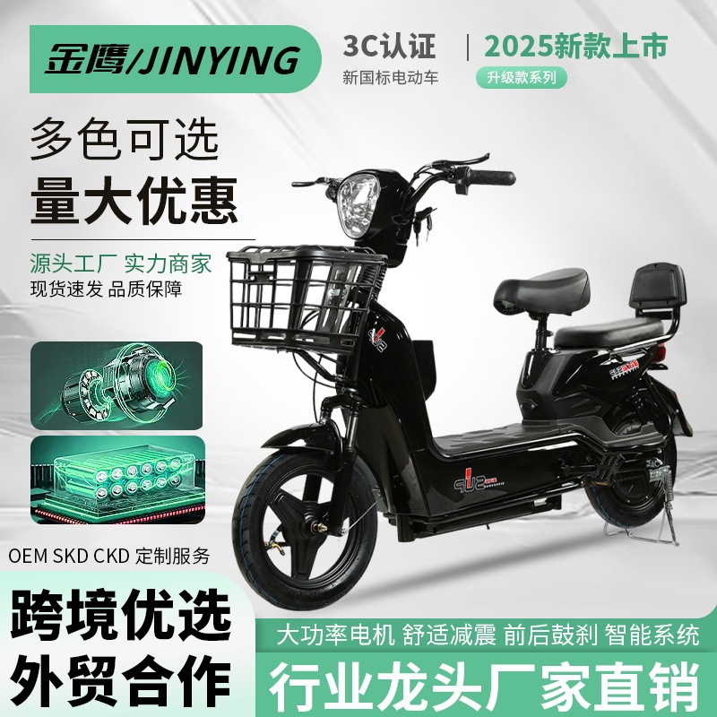 Cross-Border Foreign Trade Golden Eagle Electric Vehicle Two-Wheeled Electric Bicycle Double-Person Scooter Battery Vehicle Export New National Standard