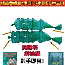 ���T���T���S�X�\�X�~�\���r���q�\�r�\�X�~�W���T�Ӻ��S�X�\