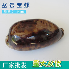 宝螺 宝螺品牌 图片 价格 宝螺批发 阿里巴巴