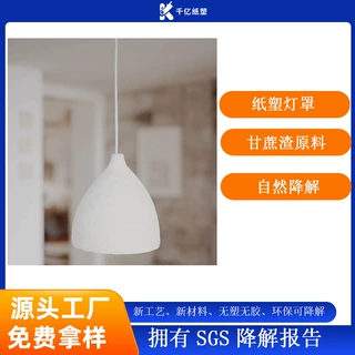 定制甘蔗浆灯罩台灯吊灯灯罩环保可降解干压纸浆灯罩 纸浆模塑