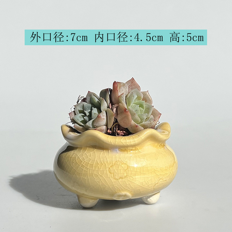新商品の植木鉢の氷が裂けて虹色が清新で可愛いです。|undefined