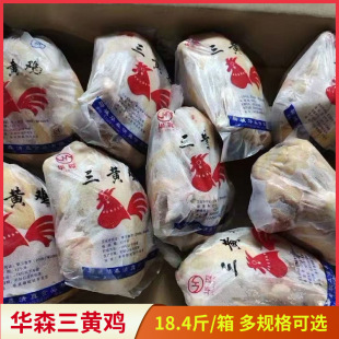 �Aɭ���S�u���r�����ֻ�u 6-14ֻҎ����x18.4��ͯ���u�חl�u