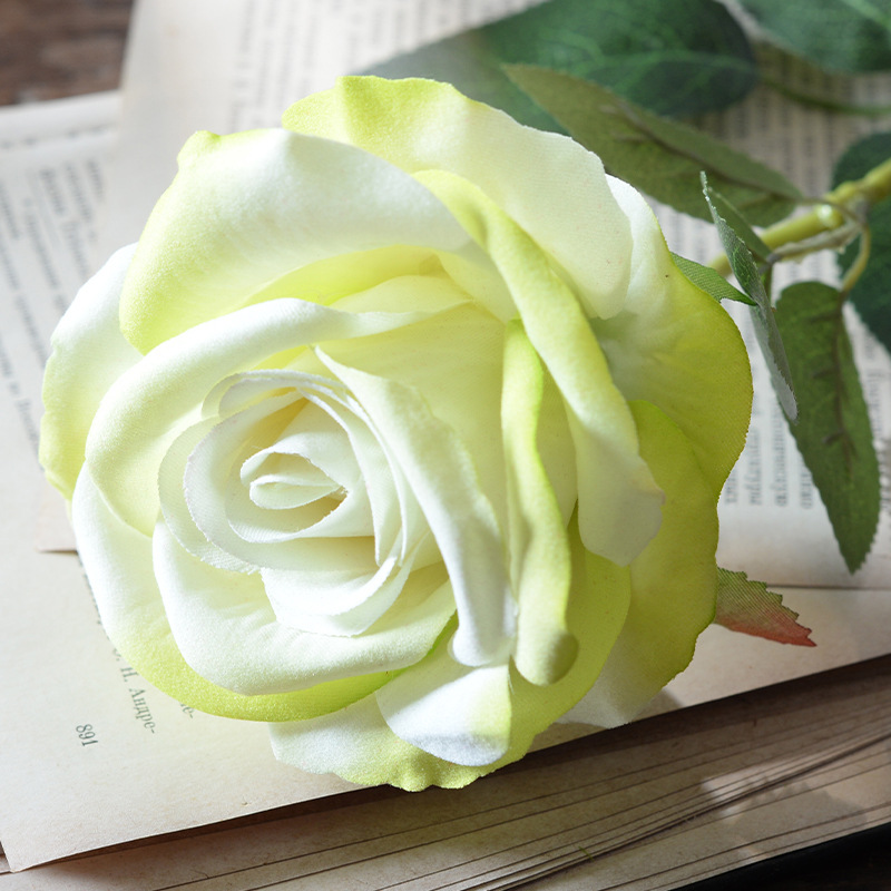 Large velvet rose green