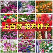 ذ̫ꖻļղҰܷNӿܰտõ۹