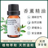 Cross border Aromatherapy essential oil 10ml rose essential oil argy wormwood Lavender Body Unilateral essential oil wholesale