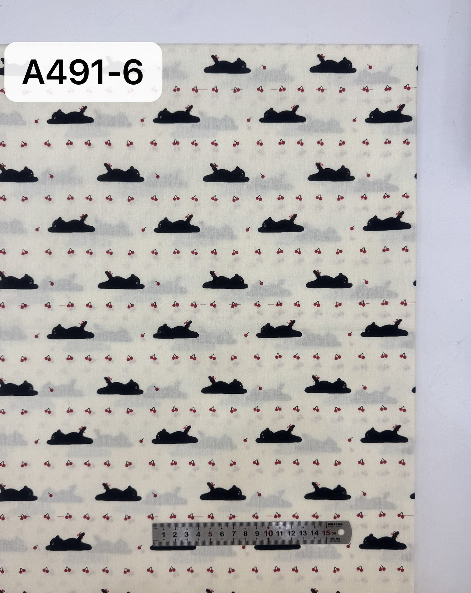 A491-6