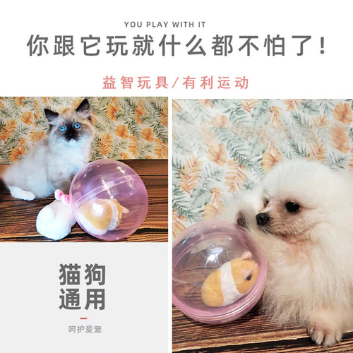 Children's Electric Tumbling Rabbit Hamster Turning Fun Cute Cat Plush Toy Baby Learning to Climb Wholesale