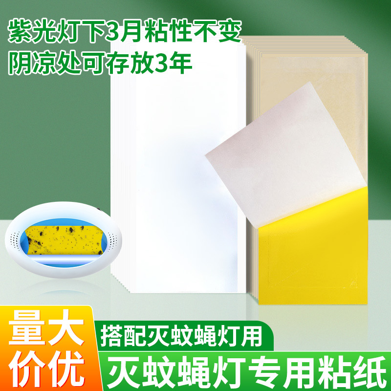 灭蝇纸粘捕式灭蚊灯专用粘虫板粘贴小飞蛾灭蝇灯粘纸苍蝇纸苍蝇贴