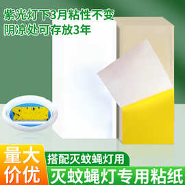 灭蝇纸粘捕式灭蚊灯专用粘虫板粘贴小飞蛾灭蝇灯粘纸苍蝇纸苍蝇贴