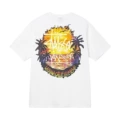 A754 [coconut tree]