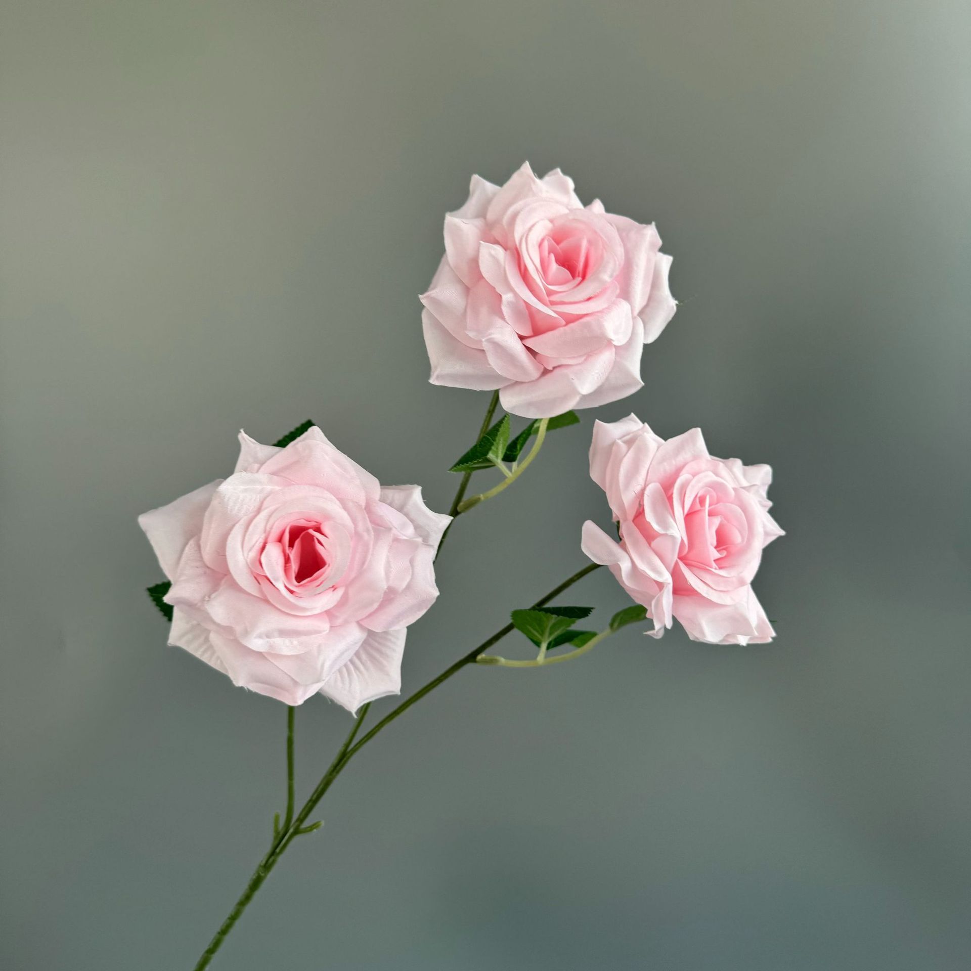 라이트 핑크(잎 없음)