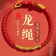 蛇来运转本命年红绳手链不掉色手工编织手绳男女新年属蛇生肖礼物