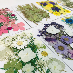 Cross-Border Real Flower Embossed Handmade DIY Popular Face Decoration Eye Corner Decal Petal Makeup Bridal Makeup Dried Flower Bag
