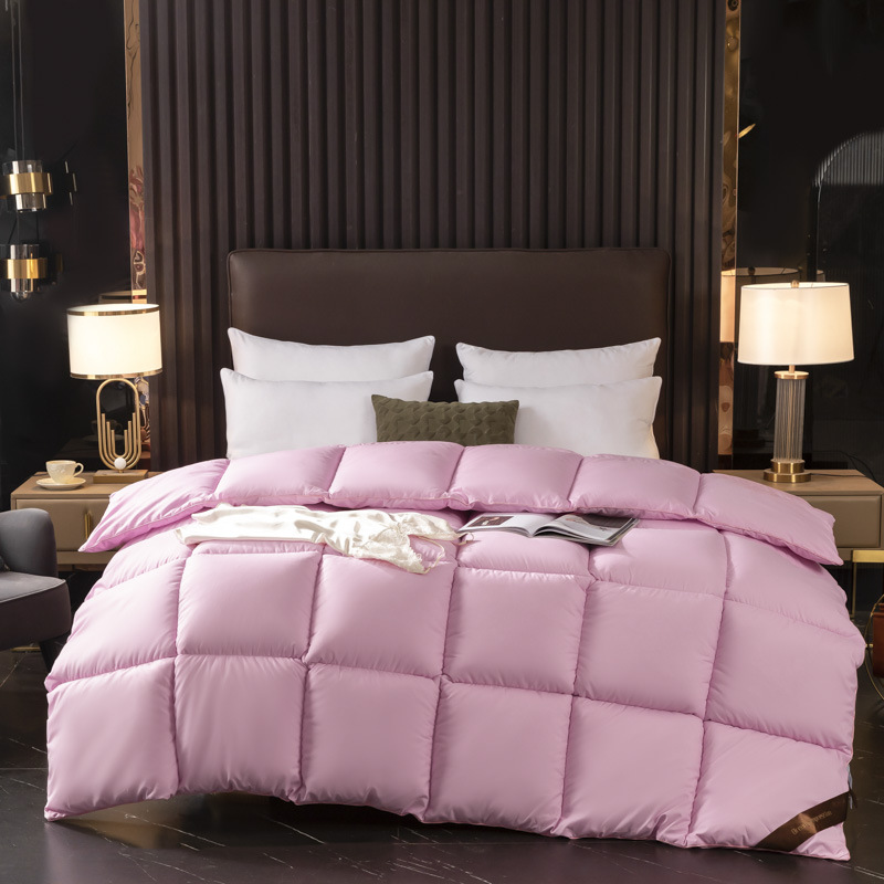 Winter and Spring Thick Five-Star Hotel Feathers Velvet Winter Blanket Student Dormitory Warmth Blanket Core Cotton Cover Wholesale