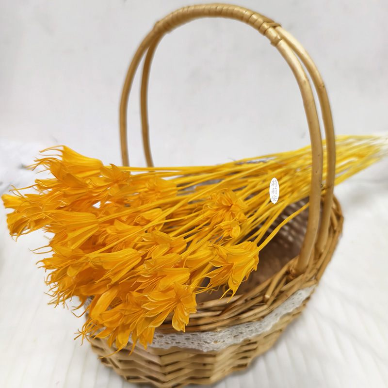 오렌지 (50g/묶음)