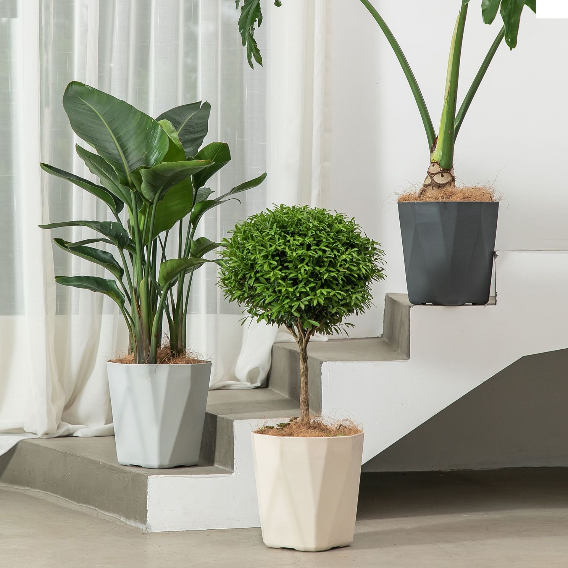 Maceta grande de plástico 30cm estilo nórdico