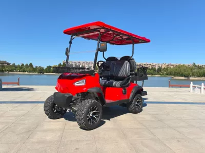 Electric Golf Carts Can Be Exported, Elektrikli qolf avtomobilləri - golf-cart-tip-style