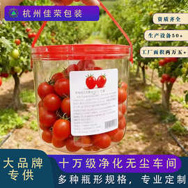 食品级PET水果礼品桶定制 圣女果金桔包装桶