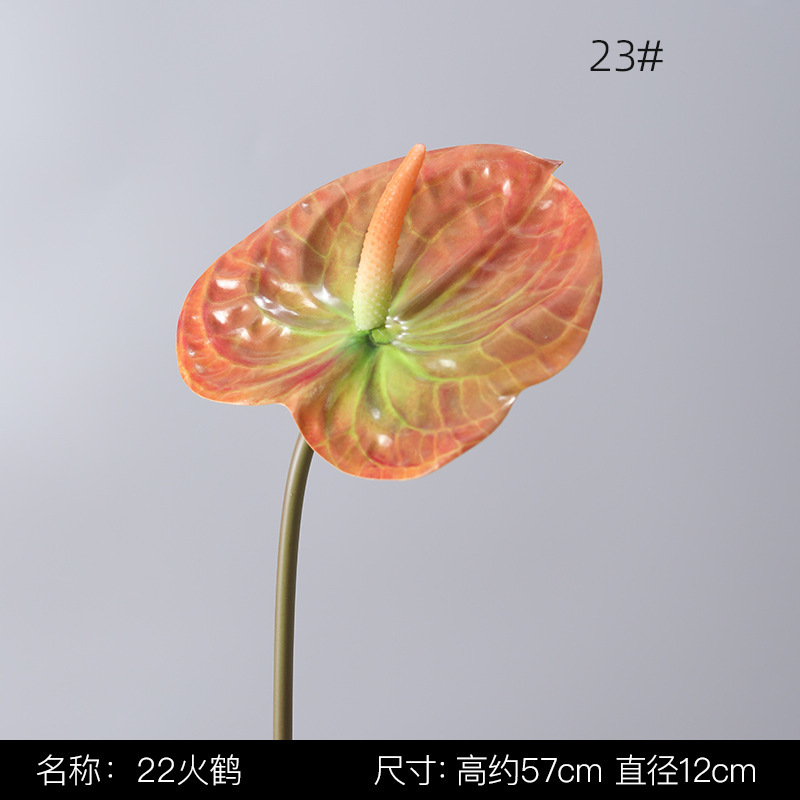 23