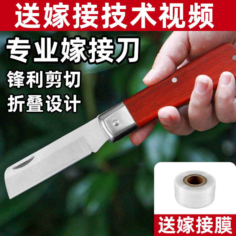 果树嫁接刀膜可折叠嫁接工具全套大树苗稼接树架接手工刀