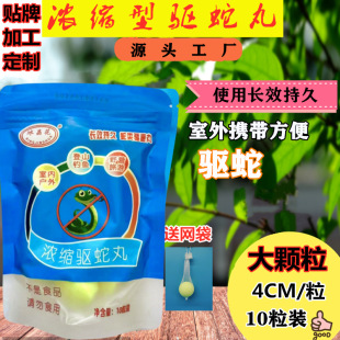 �S�ҹ���10��/����������Ұ����~�������������������