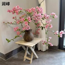 垂丝飘枝三角梅矮桩盆栽新品阳台庭院花卉可常年开花净化空气易活