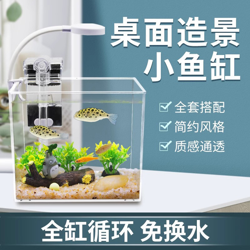 Desktop Small Fish Tank Puffer Fish Betta Zebra Guppy Small Fish Tank