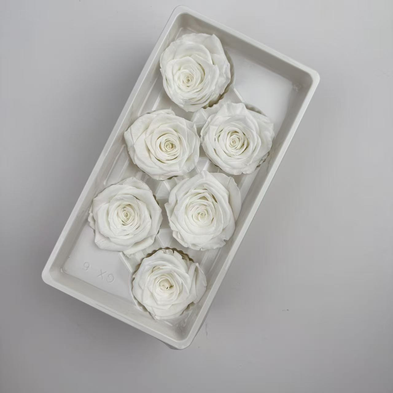 Cabezas de Rosa Preservadas B+, 5-6 cm, Ramo de Flores Frescas Preservadas, Flores Secas al por Mayor de Yunnan, para el Día de la Madre, 520
