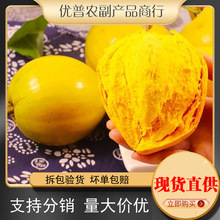 ���p��{�������r�S���u����ܛŴ����ߙn����С��ˮ�����������