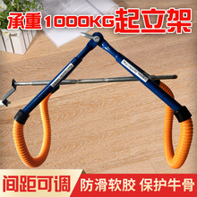 ţ����������ţ�� �ӴּӺ���ţ�o��վ���� ĸţ���a�����ܠ�����