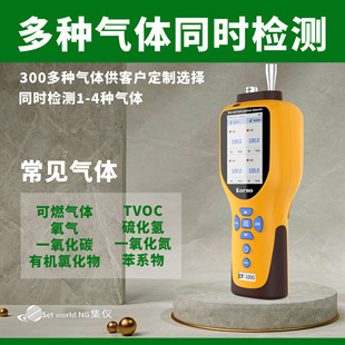 ���xDT-1000-K-H2S��yʽ�򻯚�z�y�x���Ĳ�����Ȇ�λ���D�Q