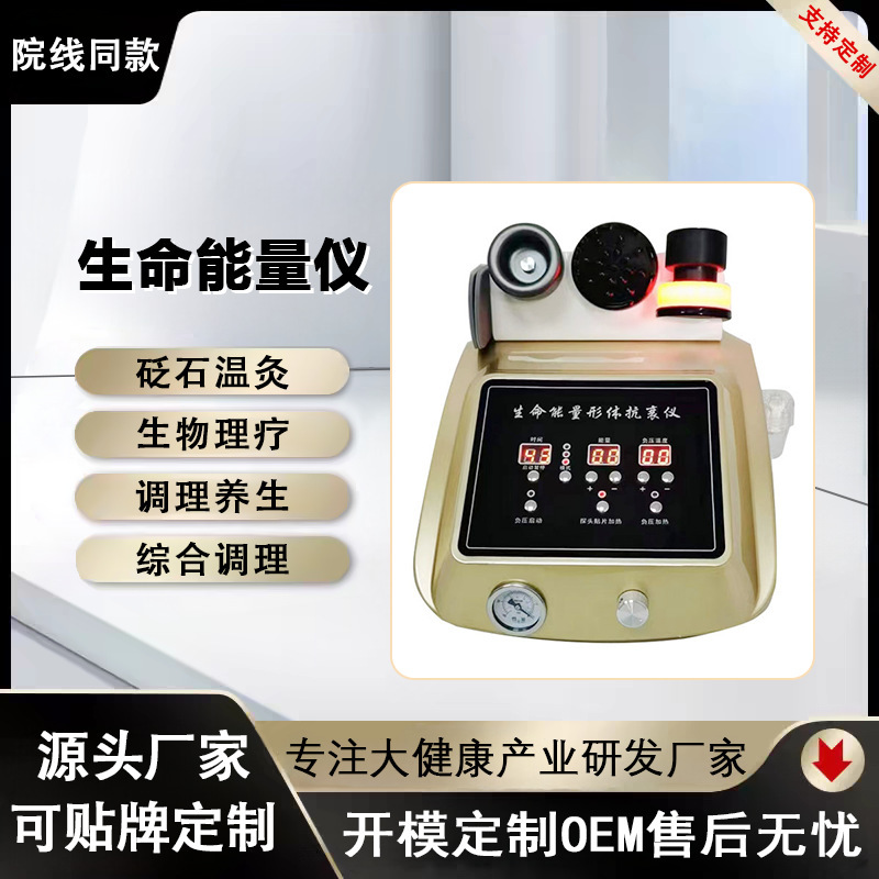 Jiayun Life Energy Body Anti-Aging Instrument Dredges Meridians Vibration Massager Scraping Cupping Dds Pulse Shoulder and Neck