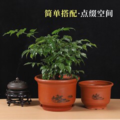 紅陶花盆大口徑陶瓷批發陶泥君子蘭盆栽家用養根紫砂粗陶落地盆