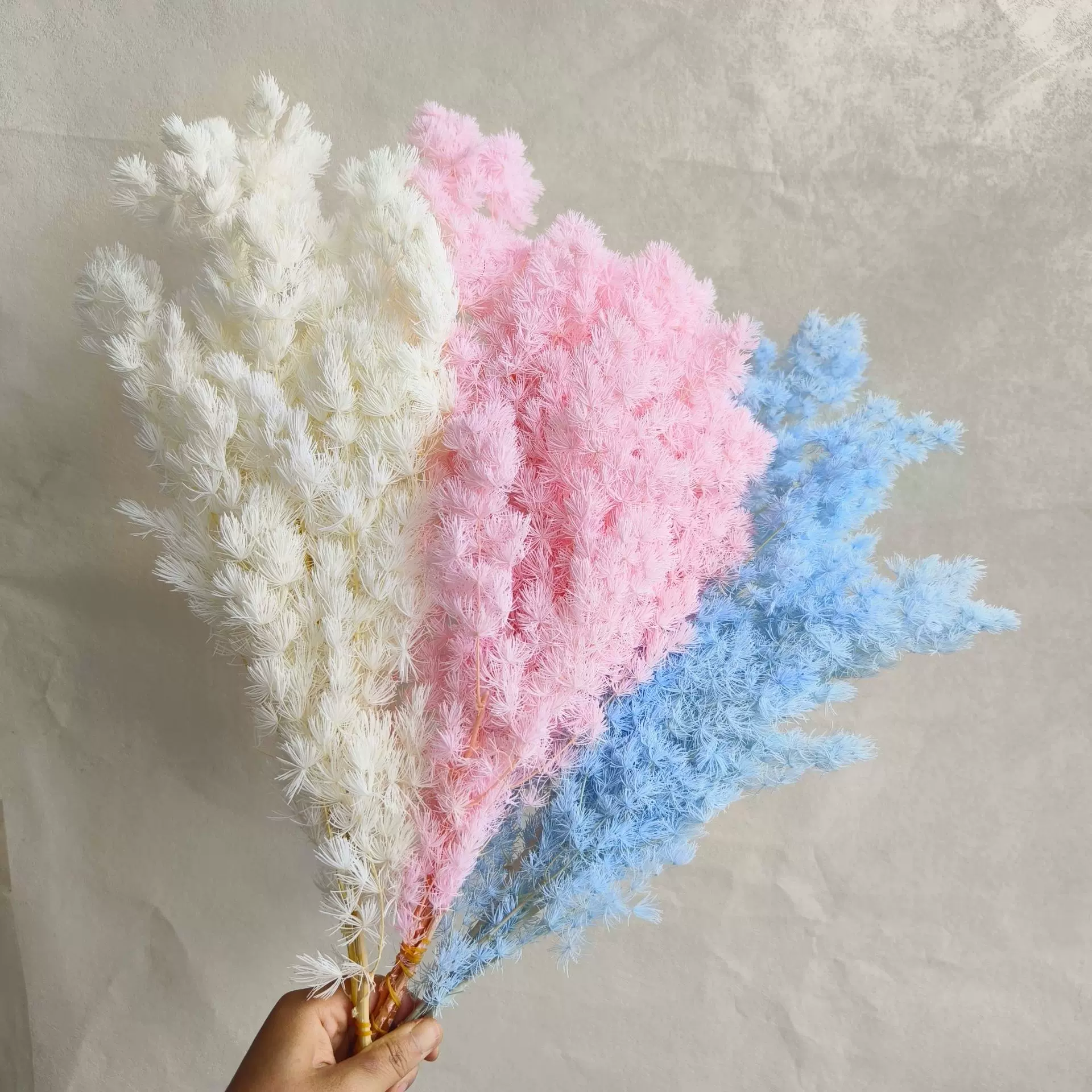 永生花蓬莱雪松真花装饰干花diy材料跨境压花亚马逊云南工厂