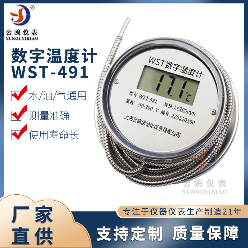 数字温度计WST-491