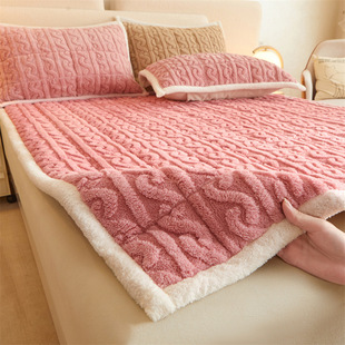 Autumn and Winter Thickened Taff Milk Velvet Non-slip Mattress Student Dormitory Bedroom Home Mattress Warm Skin-friendly Bed