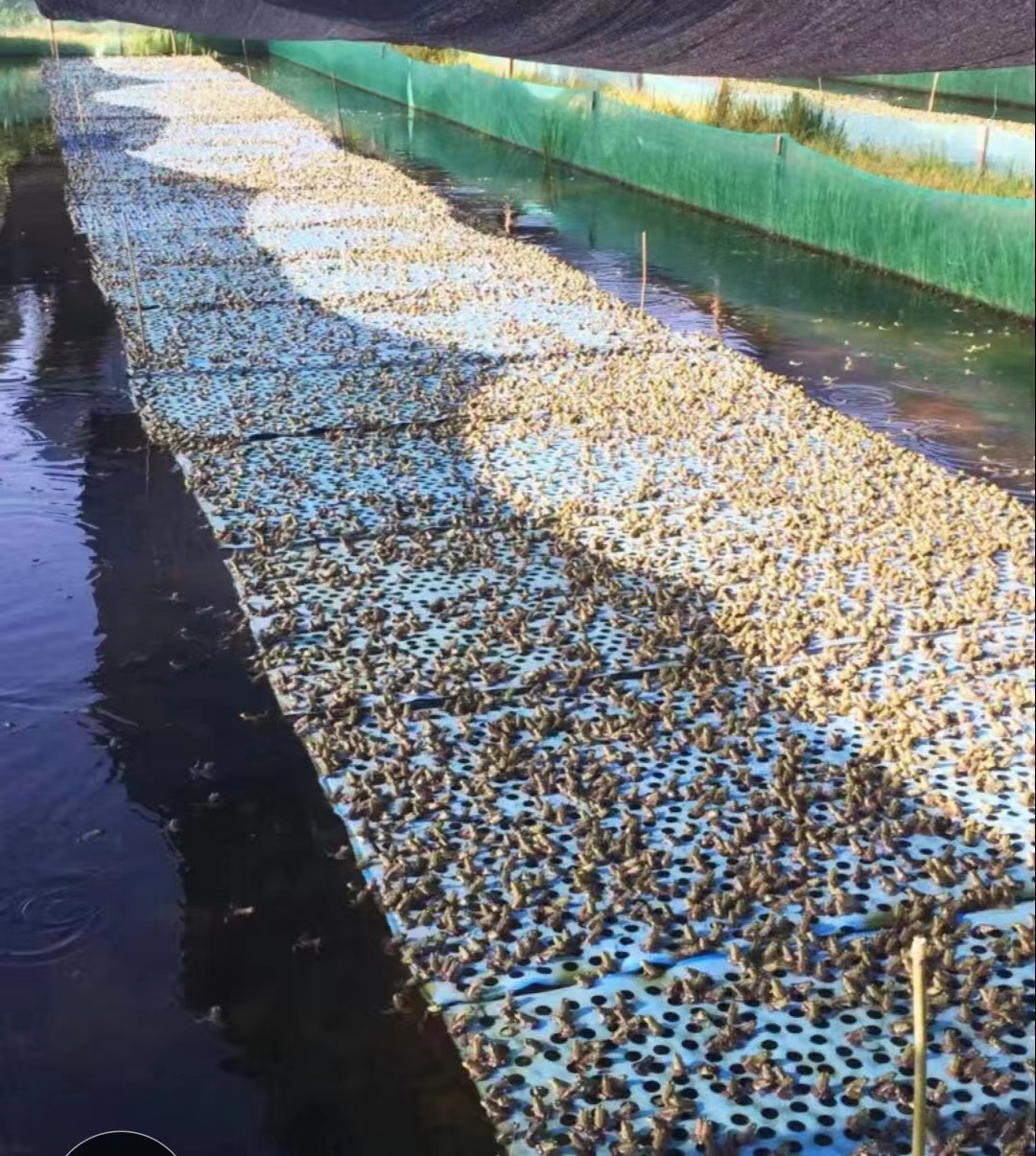 ad71e5a104f5bc9162f5b9db03b070