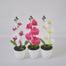 ���^�����m�����辰�҃ȑ����ƺled����