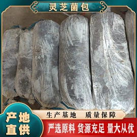 灵芝;其他药食同源