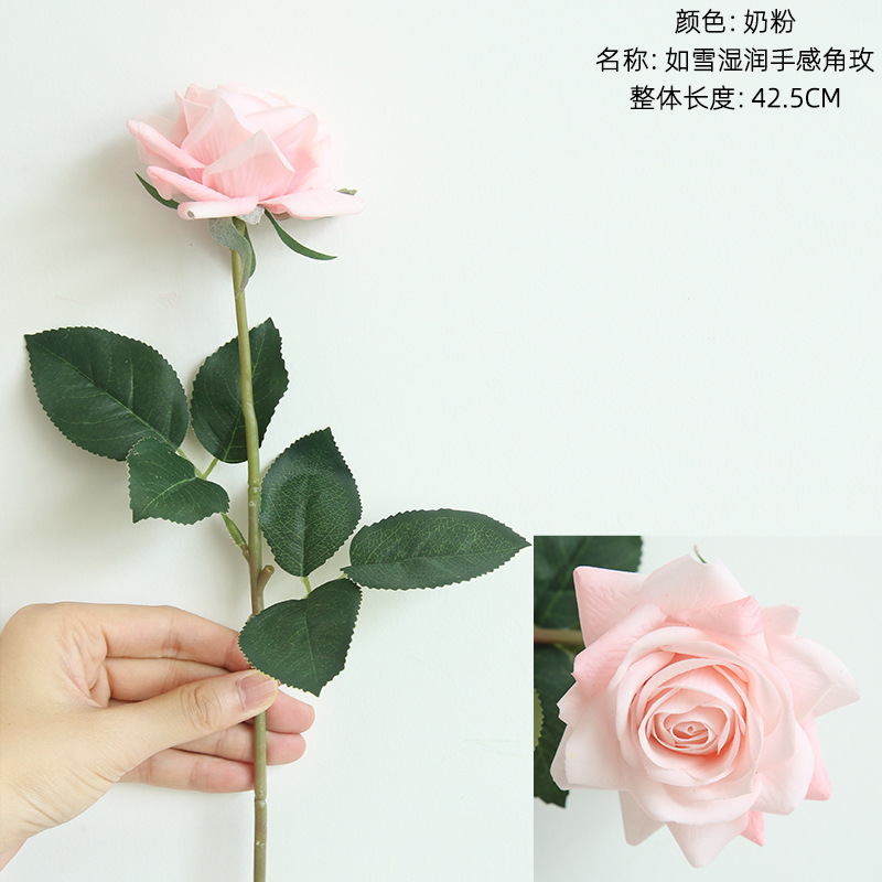분유