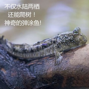 �����~����T�~�t����ˮ�~�^�p�~��ˮ�~���T�~�Ȍ����B�׻���p